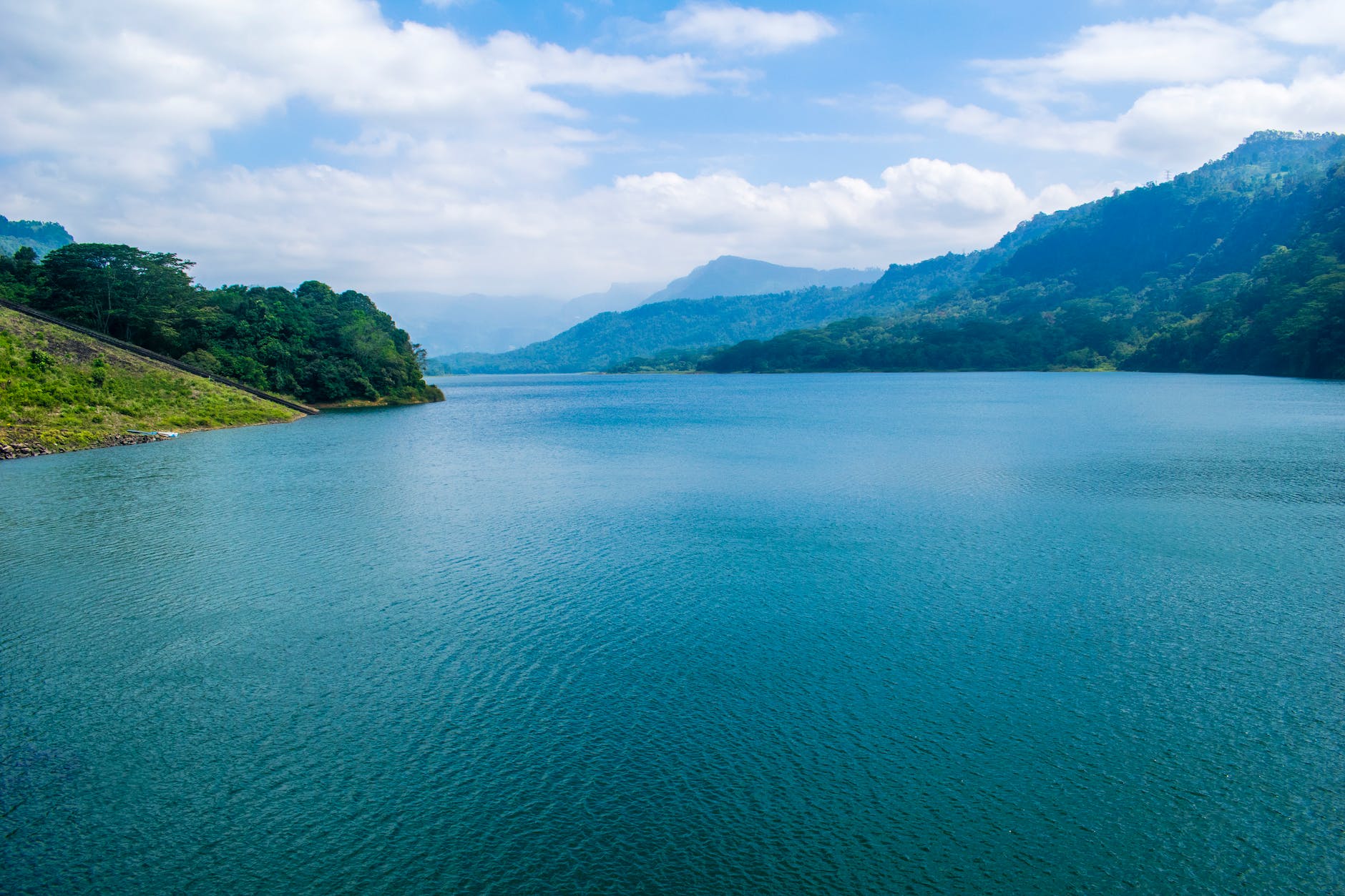 body of water surrounded by three trees